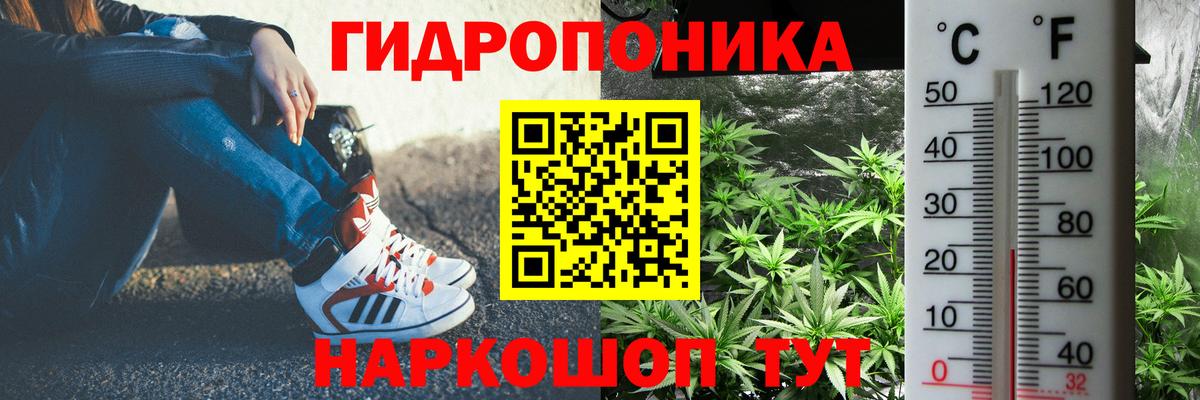 Бошки марихуана сатива Таганрог